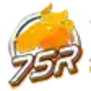 75r logo